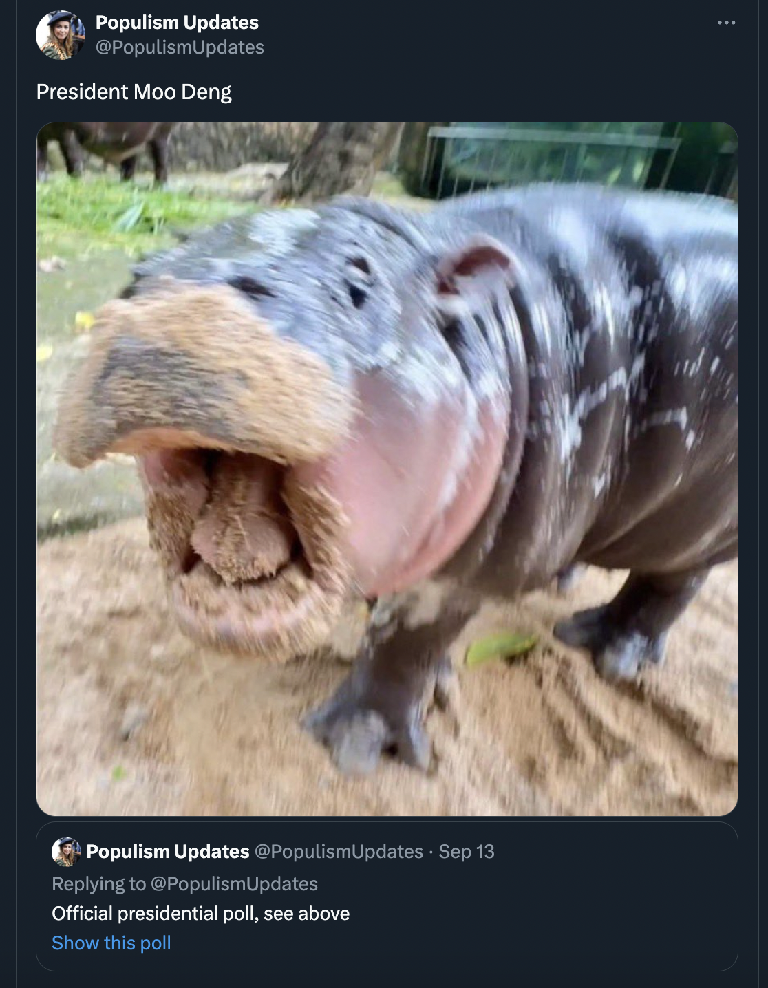 moo deng memes - hippopotamus - Populism Updates PopulismUpdates President Moo Deng Populism Updates . Sep 13 Official presidential poll, see above Show this poll